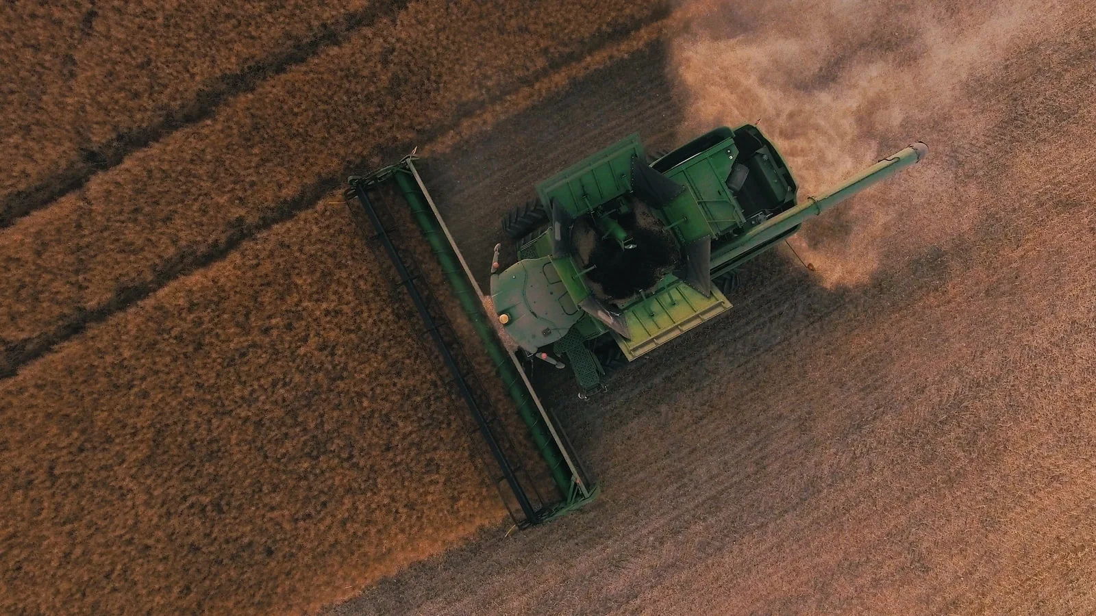 Gestão do Agronegócio