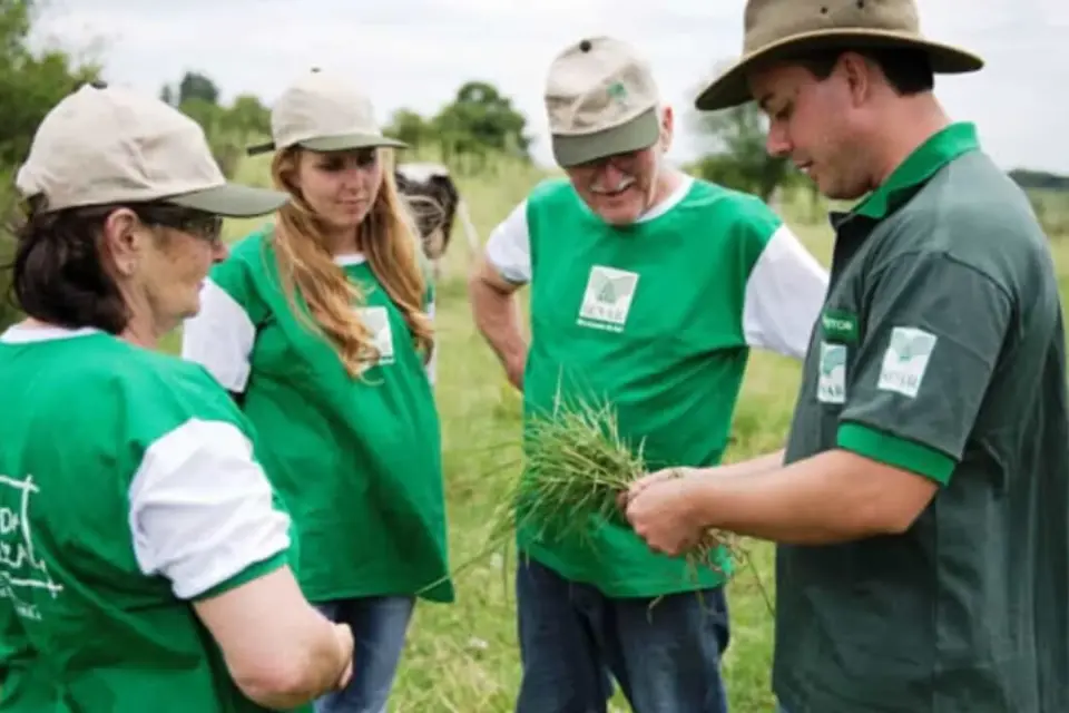 Sindicato Rural realiza curso de cultivo de plantas medicinais, aromáticas e condimentares