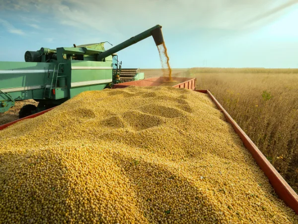 Mais Agro, Menos Ideologia e desrespeito