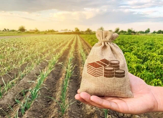 Governo do Estado prorroga prazos de benefícios fiscais para o agronegócio