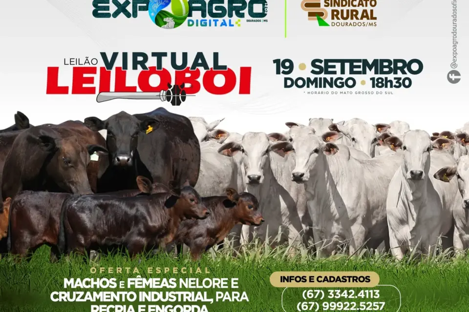 Expoagro digital terá leilão virtual