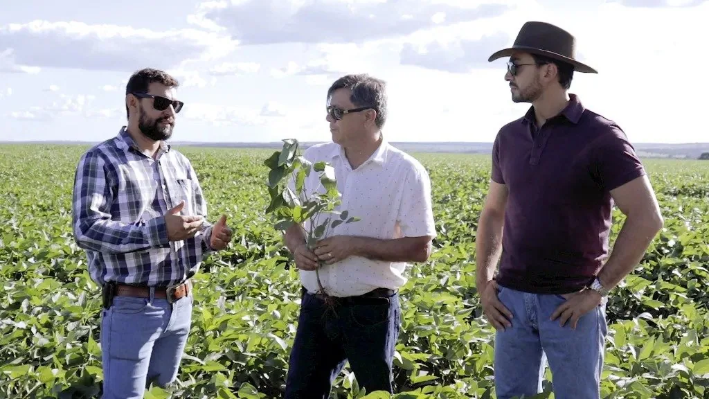Presidente do Sindicato Rural alerta para perdas da soja provocadas por onda de calor em MS