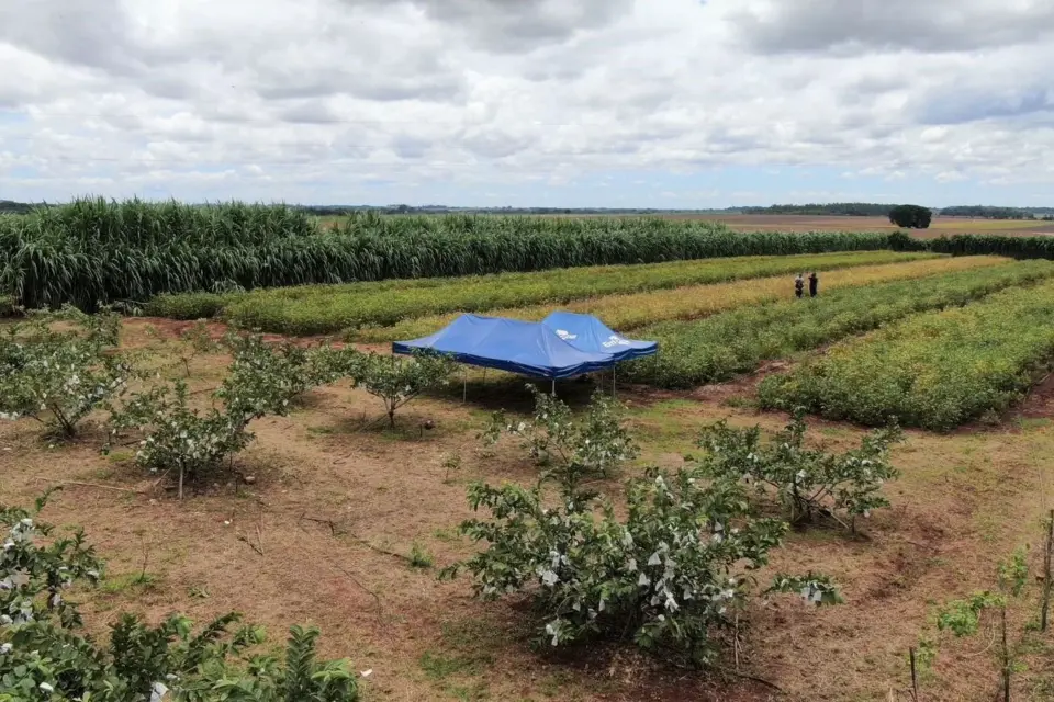 Expoagro terá debates sobre sistema orgânico, crédito rural e políticas públicas para agricultura familiar