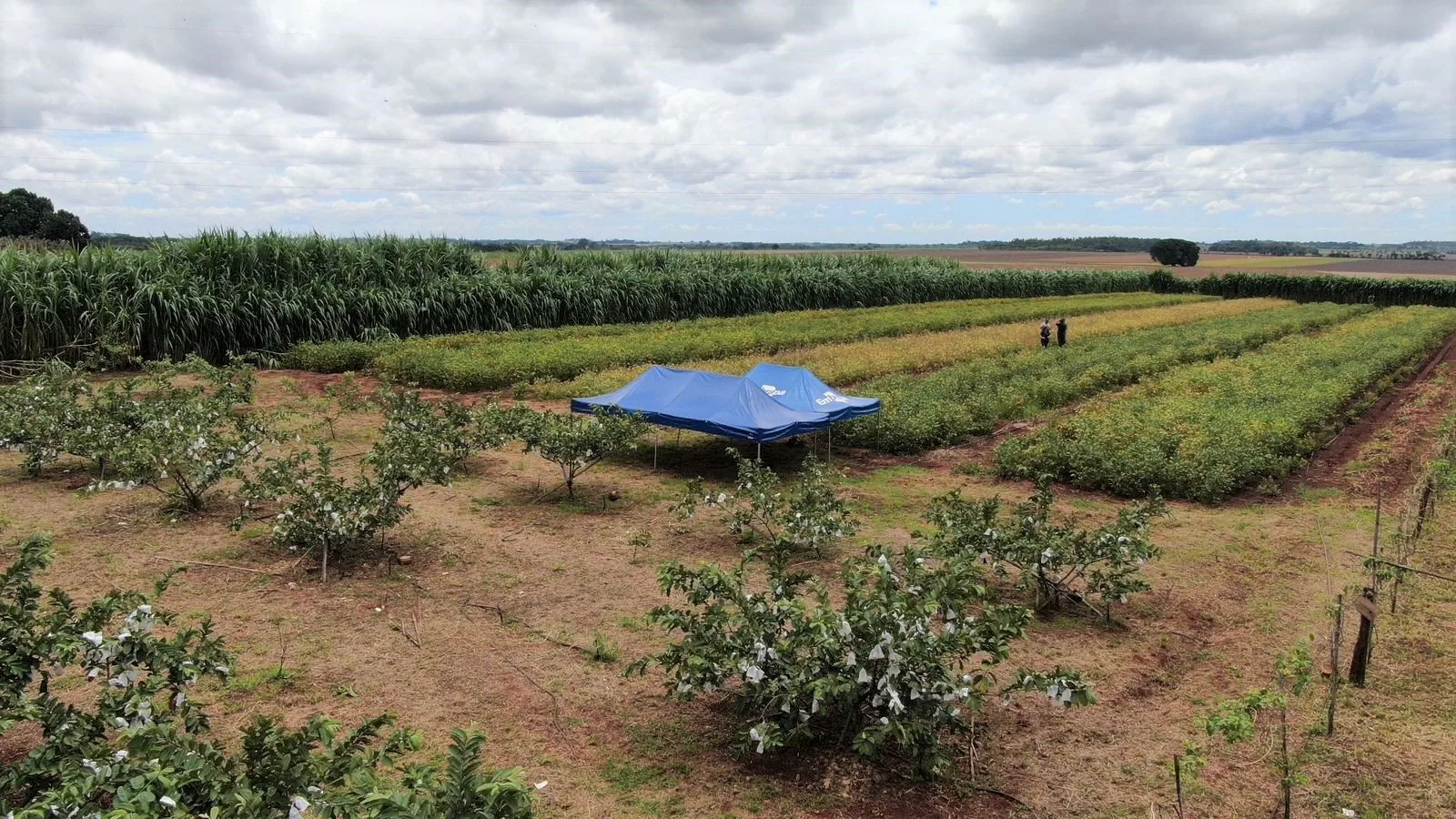 Expoagro terá debates sobre sistema orgânico, crédito rural e políticas públicas para agricultura familiar