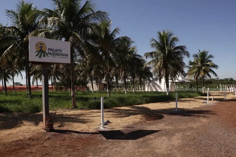 Senar MS promove o 1º Dia de Campo ATeG Piscicultura na 57ª Expoagro