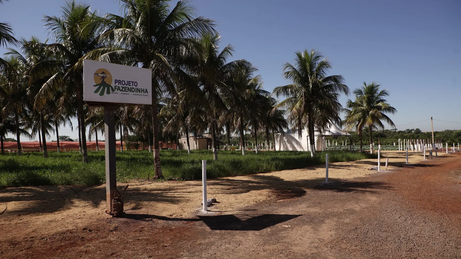 Senar MS promove o 1º Dia de Campo ATeG Piscicultura na 57ª Expoagro