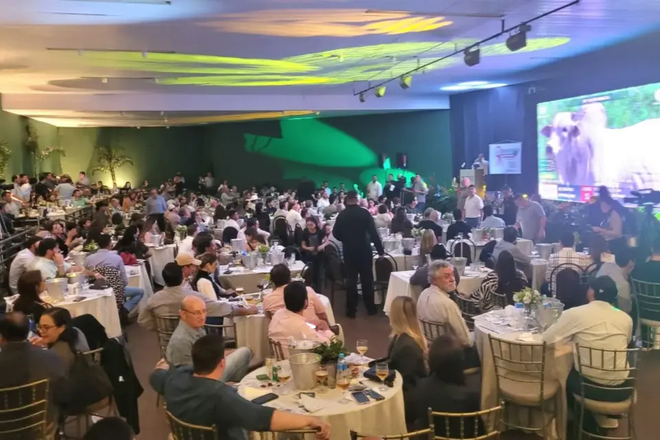 Leilão Ribalta movimenta a Expoagro